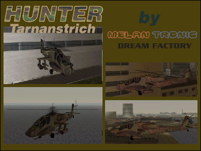 Hunter mit Tarnfarbe